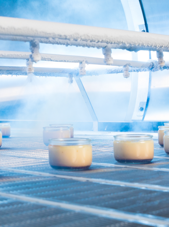 CRYOGENIC TUNNEL EASY LOAD MULTIPASS - EZ1M